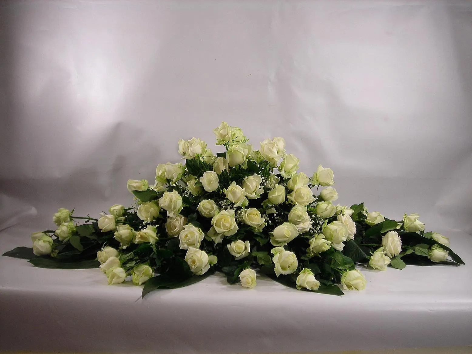 1+fiori 1920w