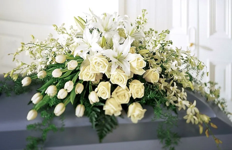 6+fiori 1920w